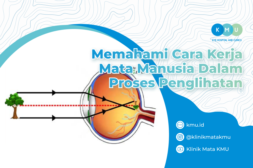 Rahasia Mata Tajam Seumur Hidup Jaga Penglihatanmu Sekarang!