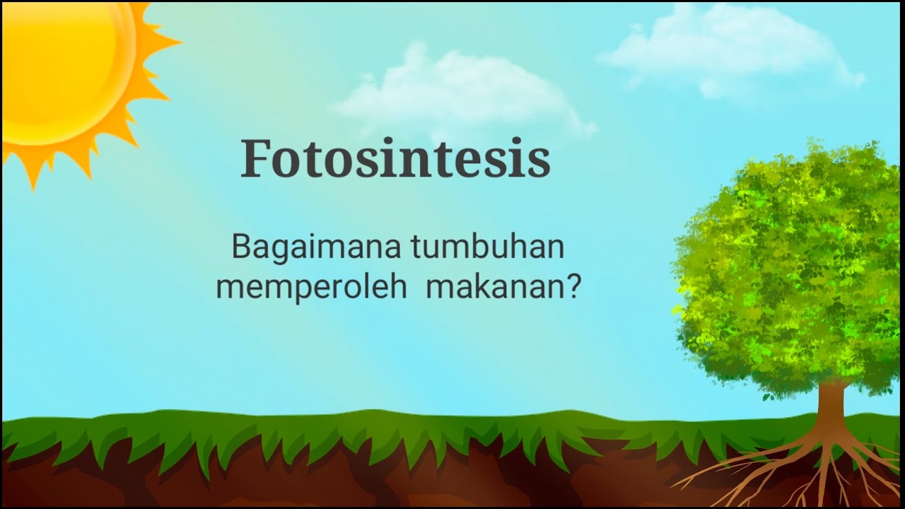 Rahasia Dapur Tumbuhan Bagaimana Mereka Bertahan Hidup?