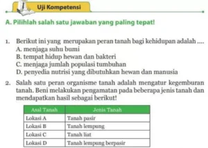 Konservasi Tanah Jaminan Ketahanan Pangan Masa Depan Bangsa