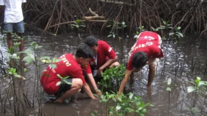 Pulau Pramuka Mengungkap Pesona Tersembunyi Permata Biru Kepulauan Seribu