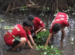 Pulau Pramuka Petualangan Tak Terlupakan di Surga Tersembunyi Kepulauan Seribu