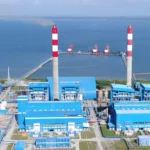 Rahasia Dapur Alam Jejak Energi dalam Ekosistem Hidup