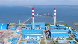 Rahasia Dapur Alam Jejak Energi dalam Ekosistem Hidup