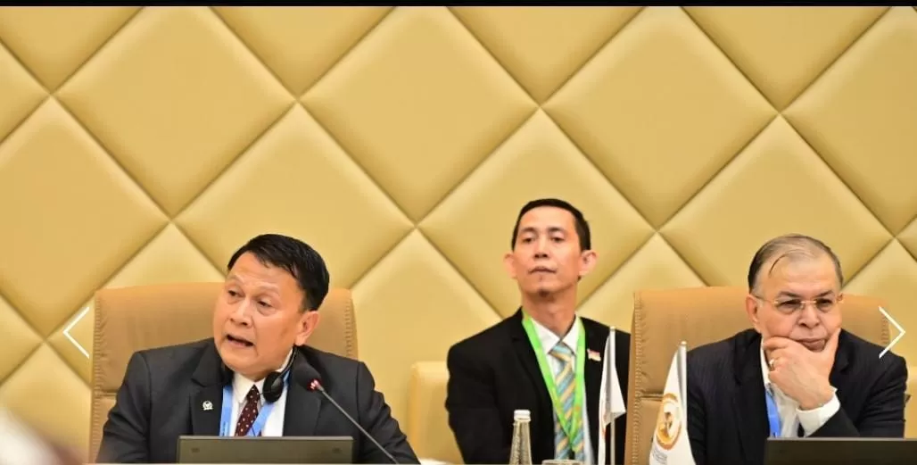 PUIC ke 19 Mardani Ajak OKI Desak Perdamaian Segera di Palestina