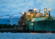 Pemerintah Didorong Harmonisasi Kebijakan Gas Bumi demi Kemajuan Ekonomi