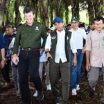Prabowo Instruksikan Penanaman 300 Ribu Hektar Aren untuk Swasembada