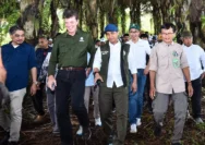 Prabowo Instruksikan Penanaman 300 Ribu Hektar Aren untuk Swasembada