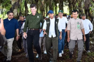 Prabowo Instruksikan Penanaman 300 Ribu Hektar Aren untuk Swasembada