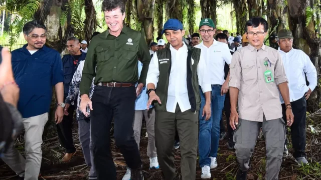 Prabowo Instruksikan Penanaman 300 Ribu Hektar Aren untuk Swasembada 1 Prabowo Instruksikan Penanaman 300 Ribu Hektar Aren untuk Swasembada