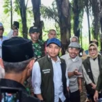 Prabowo Targetkan Swasembada Energi Lewat 300 Ribu Hektar Pohon Aren