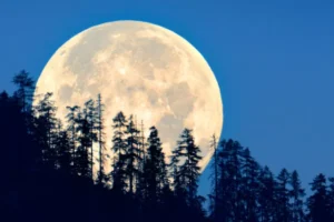 Super New Moon 27 Mei 2025 BMKG Imbau Waspada Banjir Rob