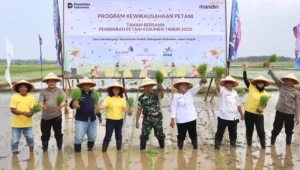 Block News Home 5 Bank Mandiri Dorong Ketahanan Pangan lewat Wirausaha Petani Kebumen