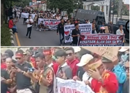 **Kantor Bupati Kotim Dikepung: Derita Warga Lokal Di Balik Megahnya Agrinas, Ada Apa ?**