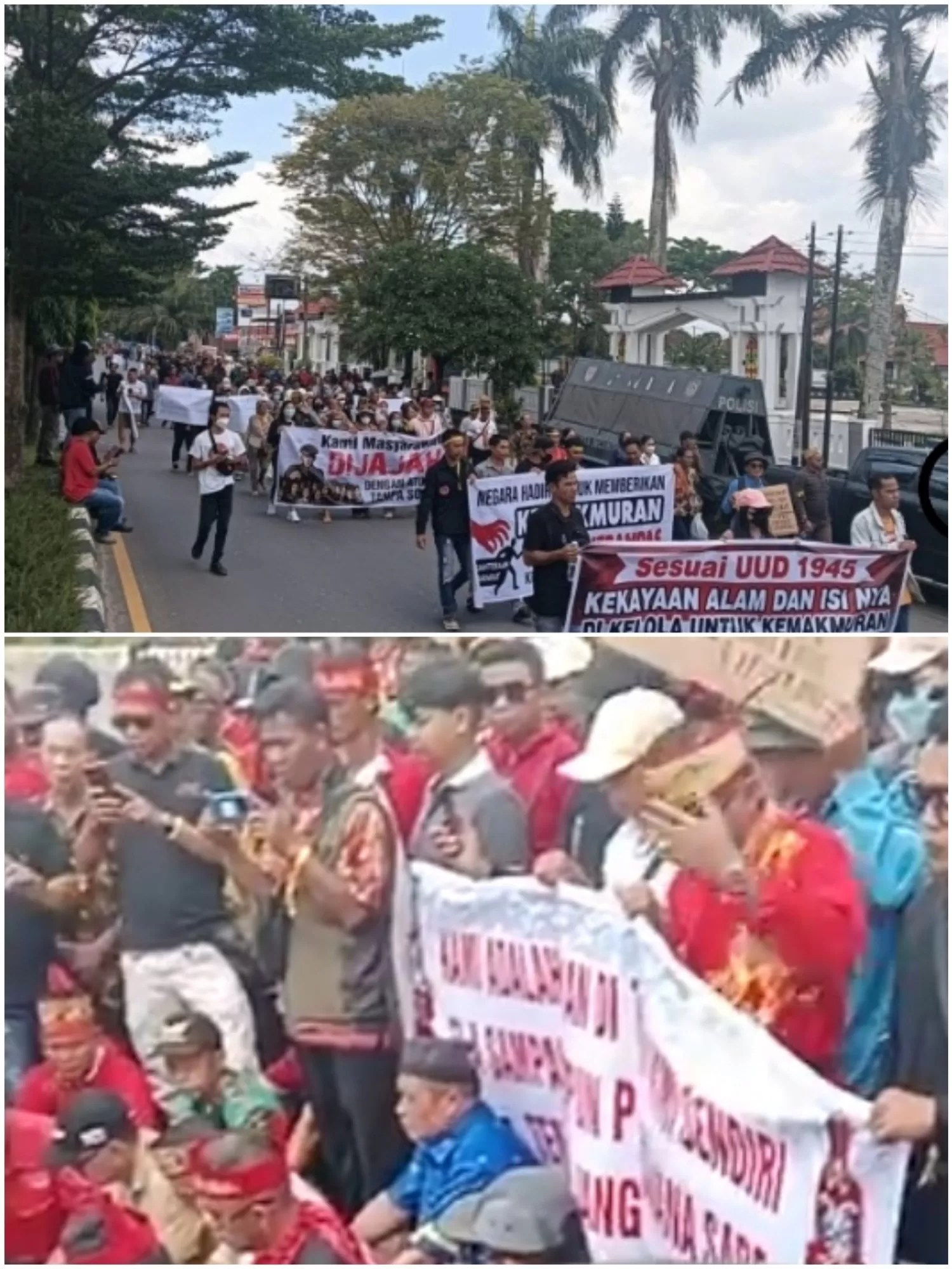 Kantor Bupati Kotim Dikepung Derita Warga Lokal Di Balik Megahnya Agrinas Ada Apa