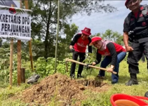 PDIP Jatim Hijaukan Pantai Modangan: HUT Emas, Aksi Nyata Demi Bumi Malang Selatan
