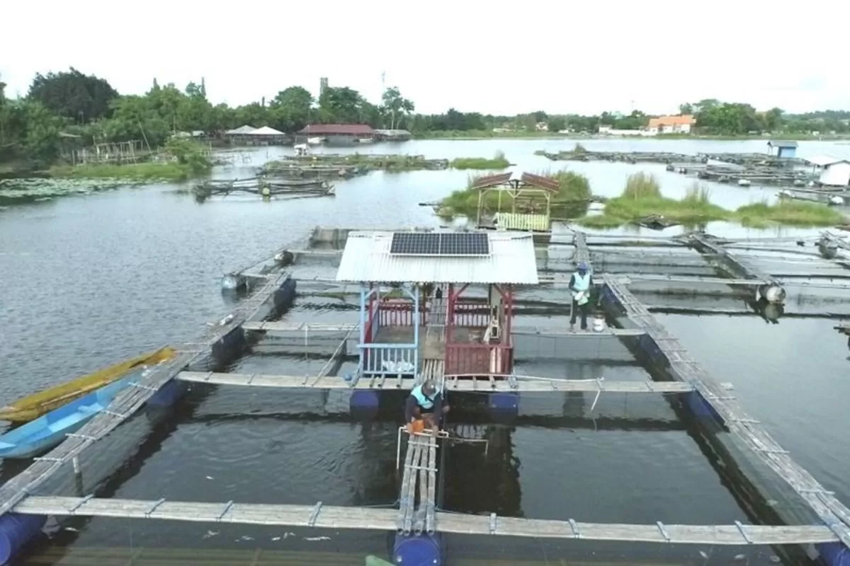 PLN Butuh 11000 Tenaga Ahli Energi Terbarukan Siap