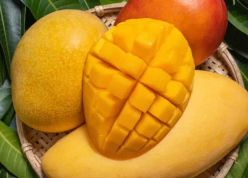 Sajian Manis Menggoda: 5 Mangga Termanis di Dunia yang Wajib Kamu Coba!