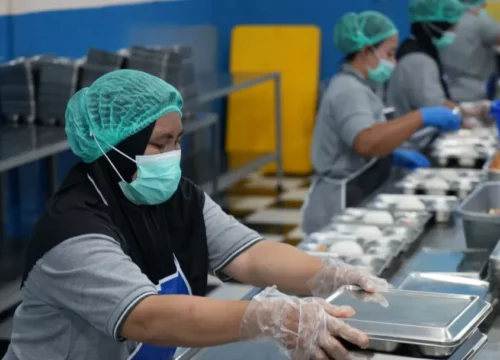 BPS: Makan Bergizi Gratis Guncang Ekonomi, Peternak Untung Besar?