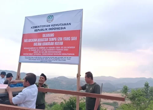 Geger Tambang Ilegal Mandalika: Penegakan Hukum Kehutanan Bergerak, Ada Apa?