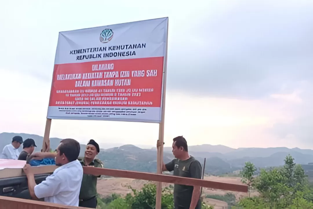 Geger Tambang Ilegal Mandalika Penegakan Hukum Kehutanan Bergerak Ada Apa