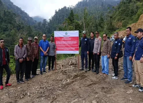 Gakkum Kehutanan Sumatera Menang Praperadilan, Tersangka Penebangan Liar Solok Gagal Lepas
