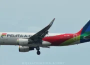 Dugaan Kerugian Fantastis Pelita Air Publik Soroti Tata Kelola Perusahaan