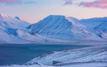 Svalbard Global Seed Vault: Benteng Harapan Menjaga Keamanan Pangan Dunia dari Krisis