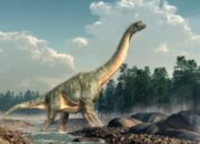 Misteri Jejak Kaki Dinosaurus Raksasa yang Berputar: Menguak Perilaku Purba yang Tak Terduga