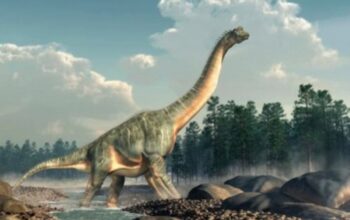 Misteri Jejak Kaki Dinosaurus Raksasa yang Berputar: Menguak Perilaku Purba yang Tak Terduga