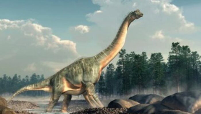 Misteri Jejak Kaki Dinosaurus Raksasa yang Berputar: Menguak Perilaku Purba yang Tak Terduga