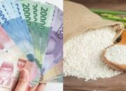 Cek Sekarang! Jadwal PKH Tahap 1 2026: Dana Bantuan Cair Awal Tahun?