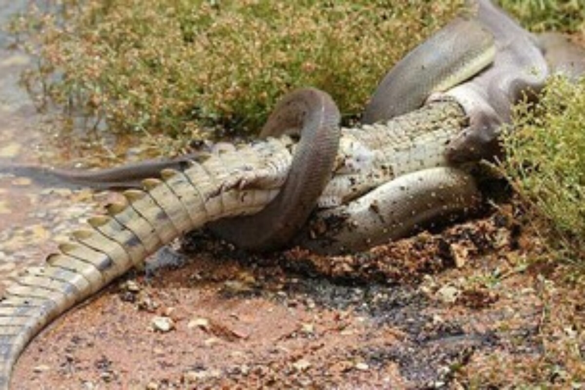 Image from inet.detik.com