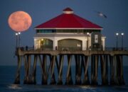 Misteri di Balik Pink Moon: Apakah Bulan Benar-benar Berwarna Merah Muda pada April 2026?