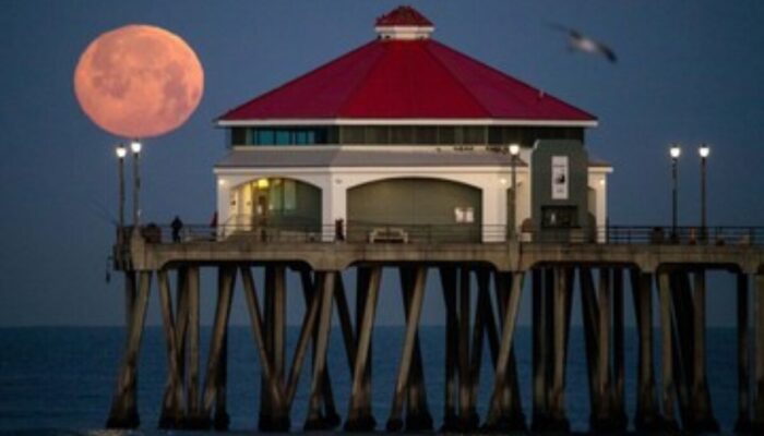 Misteri di Balik Pink Moon: Apakah Bulan Benar-benar Berwarna Merah Muda pada April 2026?