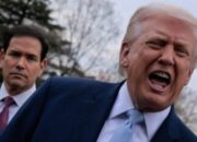 Ultimatum Trump ke Iran Berujung Guyonan ‘TACO Tuesday’? Ini Kisah di Baliknya!