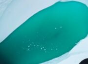 Antartika Menghijau dari Angkasa: Bukan Ilusi, Alarm Iklim Dunia Berbunyi! 9 scraped 1774746132 1