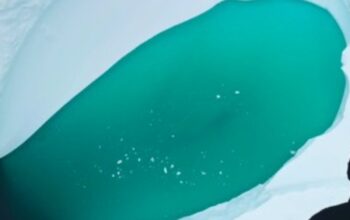 Antartika Menghijau dari Angkasa: Bukan Ilusi, Alarm Iklim Dunia Berbunyi! 3 scraped 1774746132 1