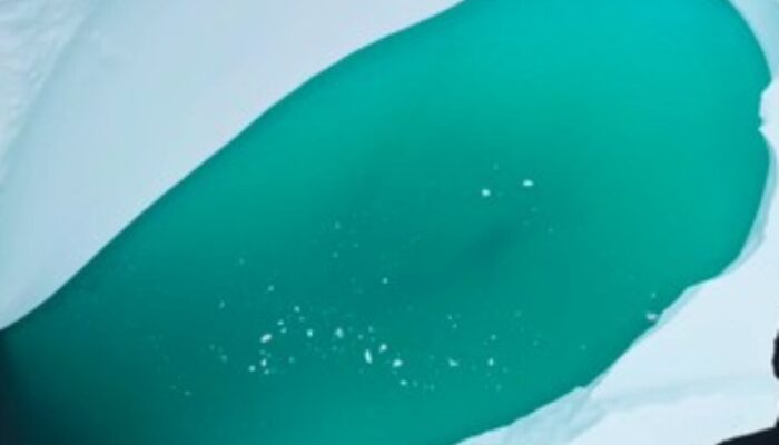 Antartika Menghijau dari Angkasa: Bukan Ilusi, Alarm Iklim Dunia Berbunyi!