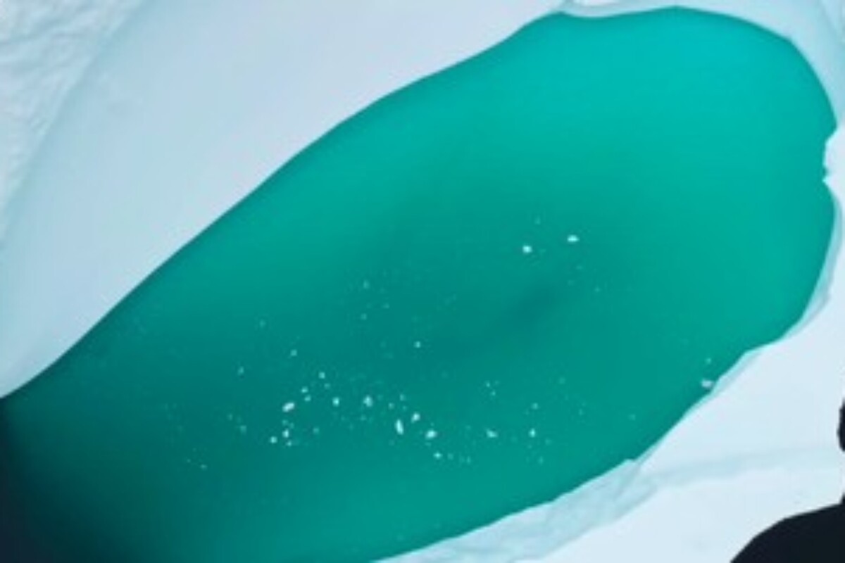 scraped 1774746132 1