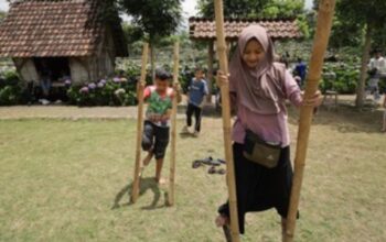 scraped 1774836163 1