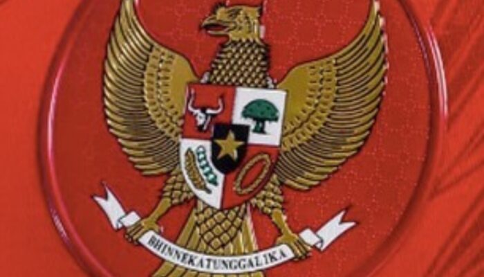 Skor Aneh FIFA Series: Garuda Mendominasi Tapi Tertinggal! Ada Apa Sebenarnya?