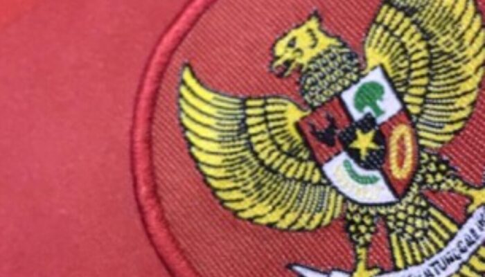 Momen Krusial! Penalti Bulgaria Hancurkan Harapan Garuda di Laga Uji Coba Internasional!