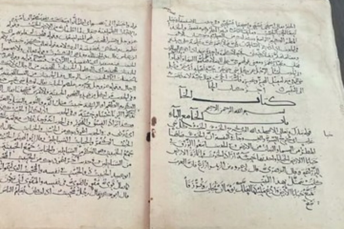 scraped 1775379744 1