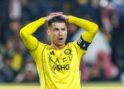 scraped 1775781194 1