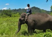 scraped 1776620044 1