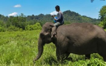 scraped 1776620044 1