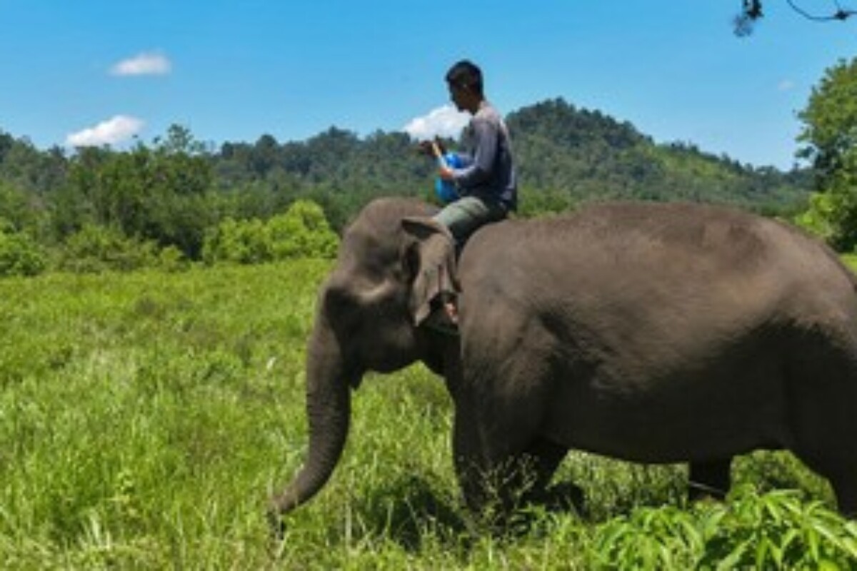 scraped 1776620044 1