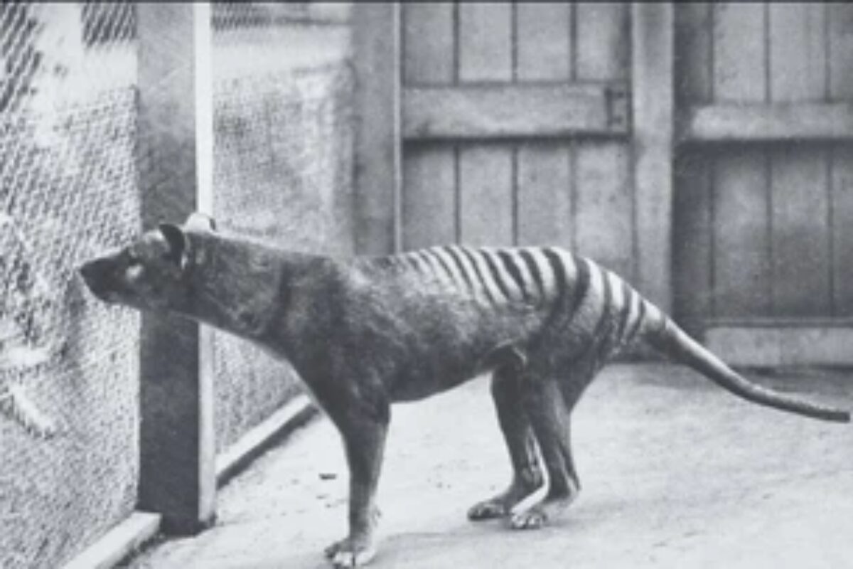 scraped 1776814449 1