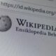 Gawat! Wikipedia Terancam Diblokir di RI: Kedaulatan Digital vs. Akses Pengetahuan!