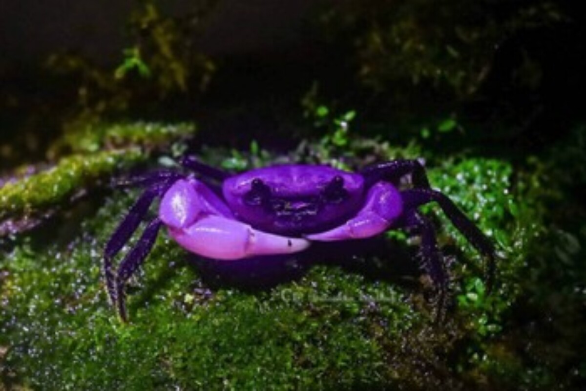 scraped 1776958507 1